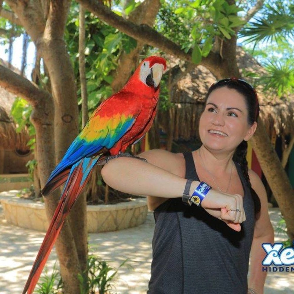 Meet your Posher, Stacey